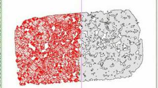 Skeleton Computation of an Image Using a Geometric Approach