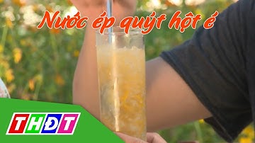 Nước ép quýt hột é | Ẩm thực đất sen hồng | THDT