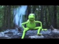 Kermit The Frog ALS Ice Bucket Challenge Kermit The Frog ALS Ice Bucket Challenge