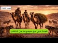 1981 قصة ابي مع مجموعه من الذئاب
