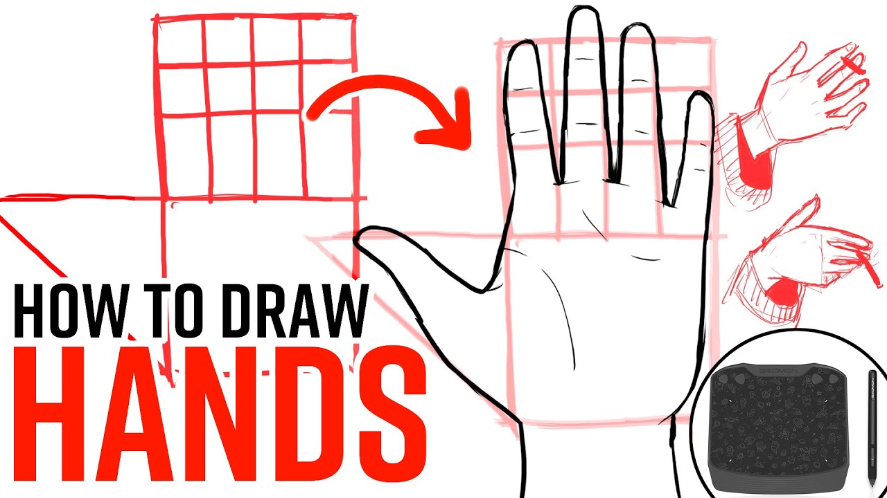 How to Draw HANDS | Hand Anatomy Tutorial w/ Gaomon S630 - YouTube