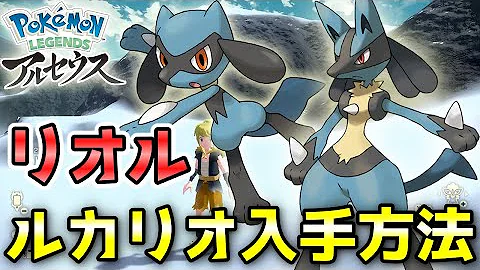 ルカリオゲット方法