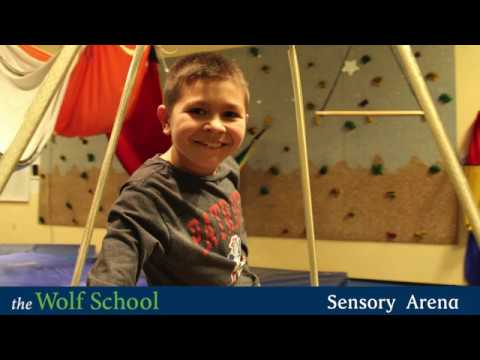 The Wolf School Sensory Arena