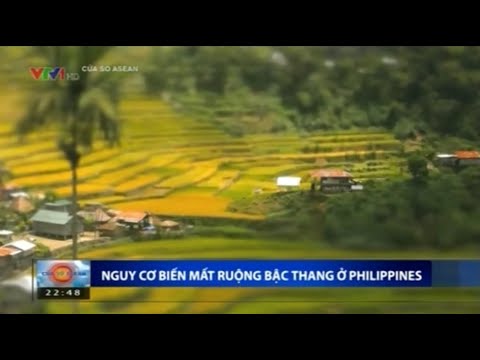 Video: Khám phá Ruộng bậc thang của Philippines Cordilleras