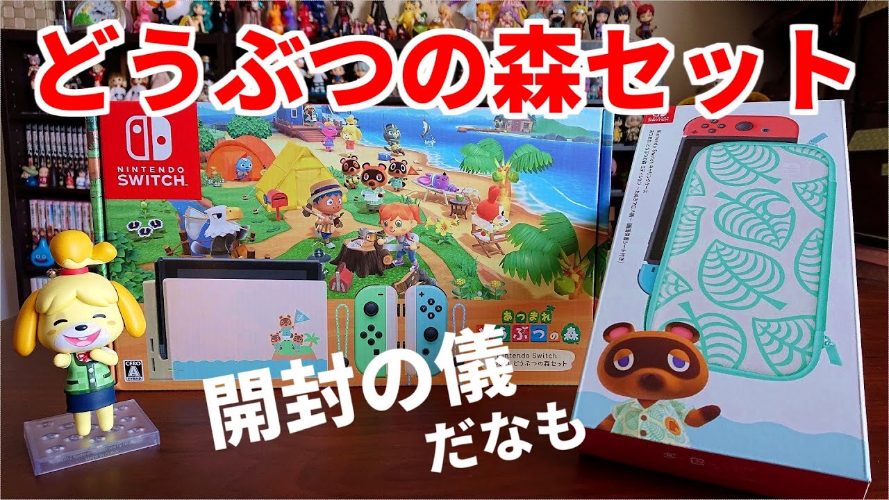 【開封】あつまれどうぶつの森セットSwitch同梱版, キャリングケース紹介 Animal Crossing New Horizons