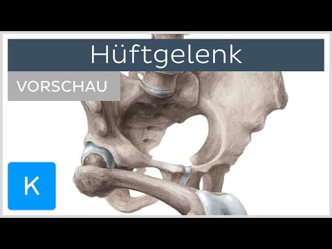 Video: Wie entsteht ein Acetabulum?