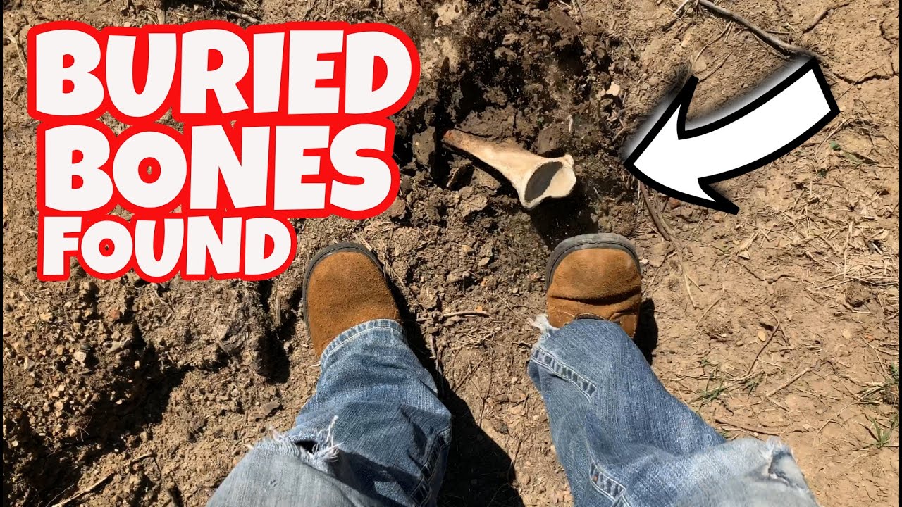 Gene Autry Oklahoma Ranch Flying A on Sale head.hesge.ch