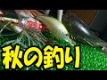 25 ++ 秋　釣り 241764-秋 釣り 服装