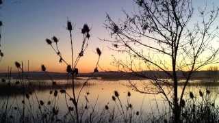 Sacramento National Wildlife Refuge Complex