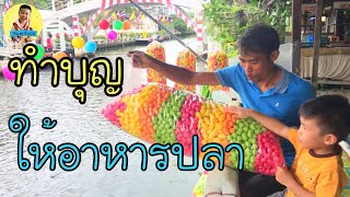 ทำบุญ ให้อาหารปลา วัดนิมมานรดี | Numkoon Channel