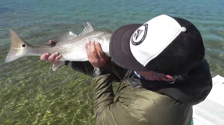 Captain Jason Shepard "Shep" Fly Fishing For Redfi...