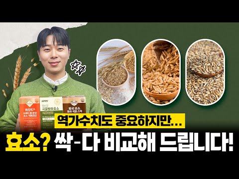 효소라고 다 같은 효소가 아니다?! 🙅‍♂️ ㅣ 나에게 딱 맞는 효소 제품 찾는 법