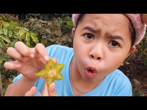 Video Chuyện CÂY KHẾ và CHIM HỶ TƯỚC | Thông điệp cuộc sống... - youtube