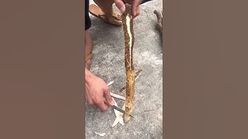 Yam peeling process  Good tools and machinery can increase work efficiency