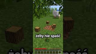 Minecraft, ale Gdy Chodzę ŚWIAT ZNIKA...