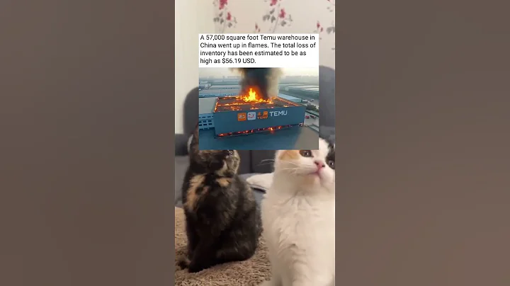 A 57,000 square foot Temu warehouse in China went up in flames