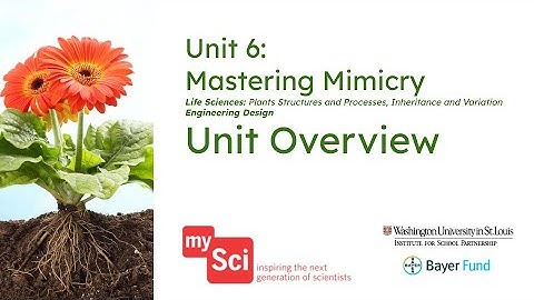 Unit 6 Overview Video