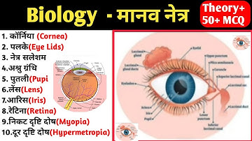 मानव नेत्र महत्वपूर्ण प्रश्न । Human Eye । Biology important MCQ in Hindi. Manav Netra GK in Hindi 