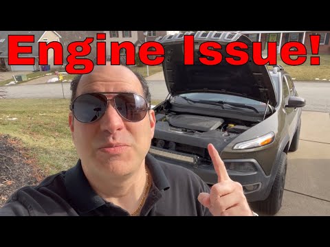 Oil Cooler Leak