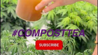 #composttea TEA TIME! For the Girls Green-Talk family 💚