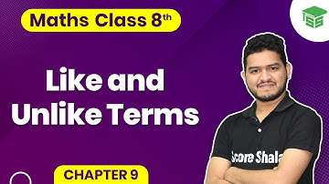 Class 8th Maths Chapter 9 | Like and Unlike Terms - Algebraic Expressions and Identities