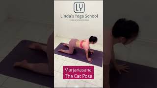 Marjariasana - The Cat Pose