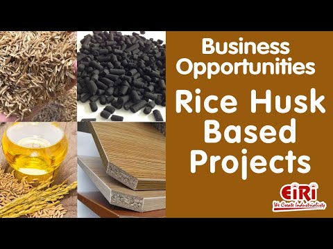 Rice Husk Based Project Profile - Activated Carbon - Sodium Silicate - Rice Husk