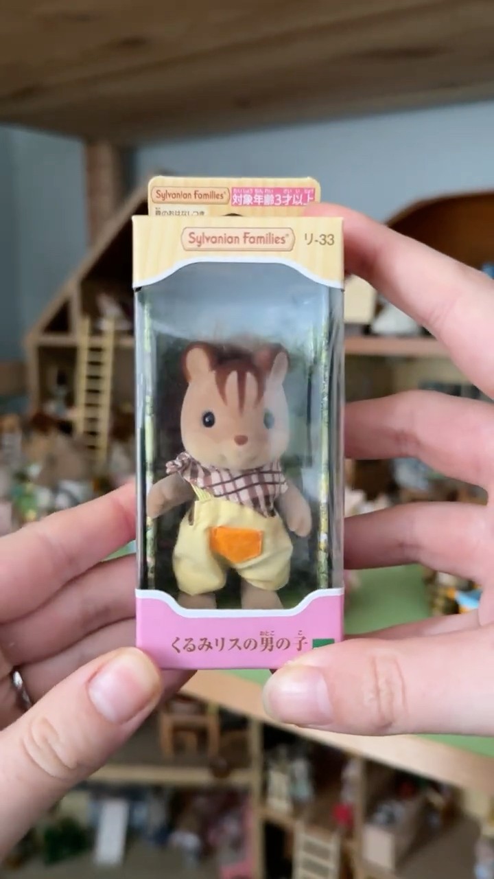 opening Ralph Walnut! Sylvanian Families squirrel unboxing