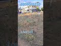 tirunelveli plat sale #nellai #tirunelveli #melapalayam #realestate #land #tirunelveliproperty