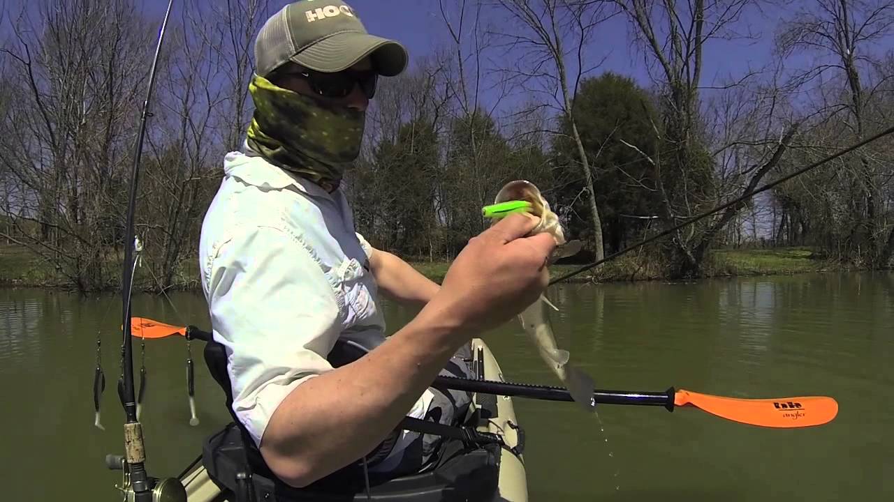 Kayak Fluke Fishing YouTube