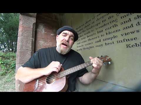 LINGER (Cranberries) Ukulele Cover (with a peek at the end of my audience of Minehead Hill Panda) 😂