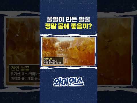 꿀벌이 만든 <strong>벌꿀</strong>, 정말 몸에 좋을까? #shorts