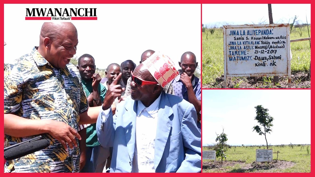 Tazama kisanga cha mzee aliyetishia kumletea nyuki Mkuu wa Mkoa Dodoma