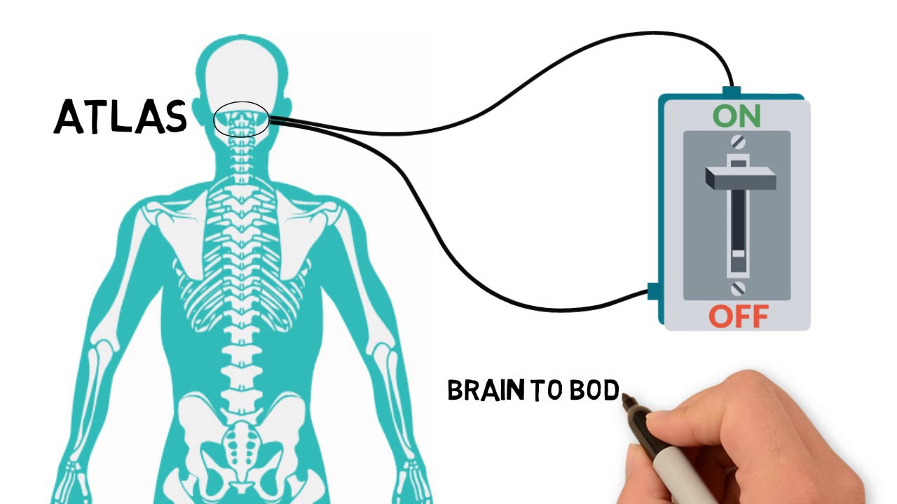 DR. SCOTT HANSEN D.C. IS AN UPPER CERVICAL CHIROPRACTOR IN LAGUNA HILLS, CA. video phone beyonce mp3