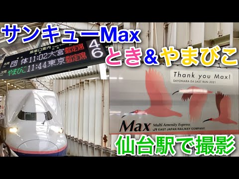 【さらばE4系】サンキューMaxとき&やまびこを仙台駅で撮影してきました！【東北新幹線】
