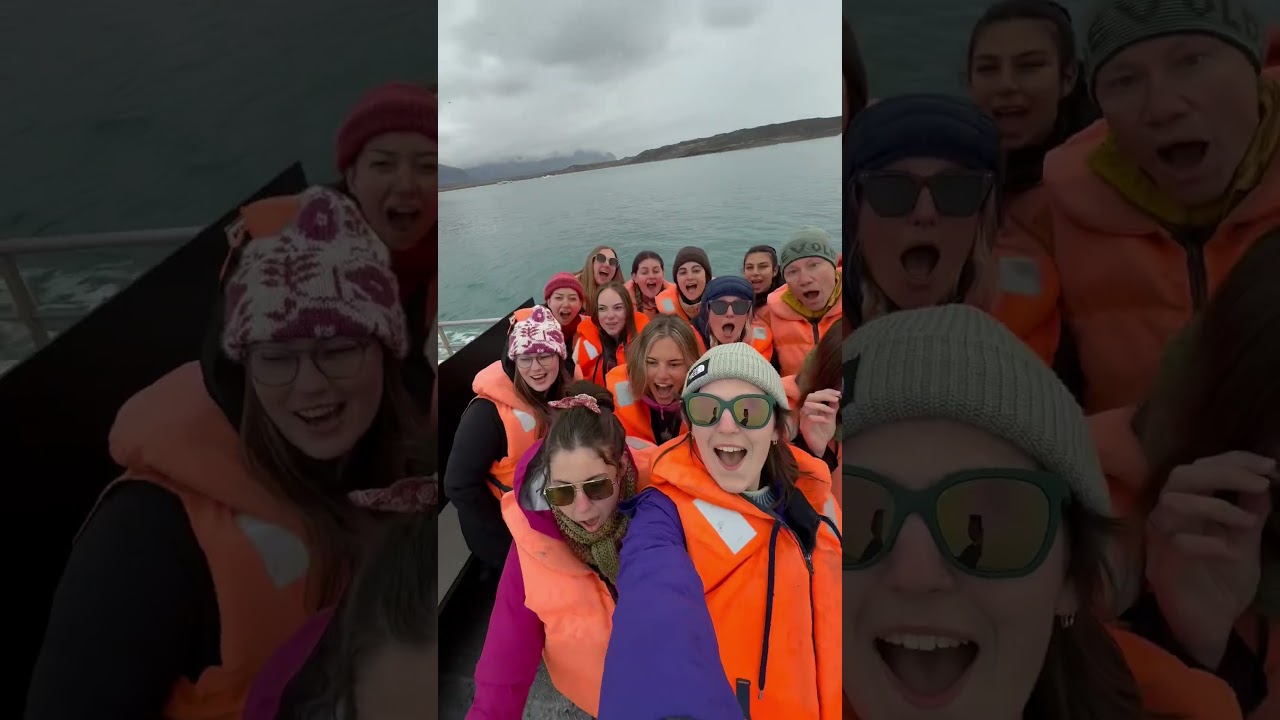 the Iceland knitting trip!!! the best time with the best group 🫶🫶