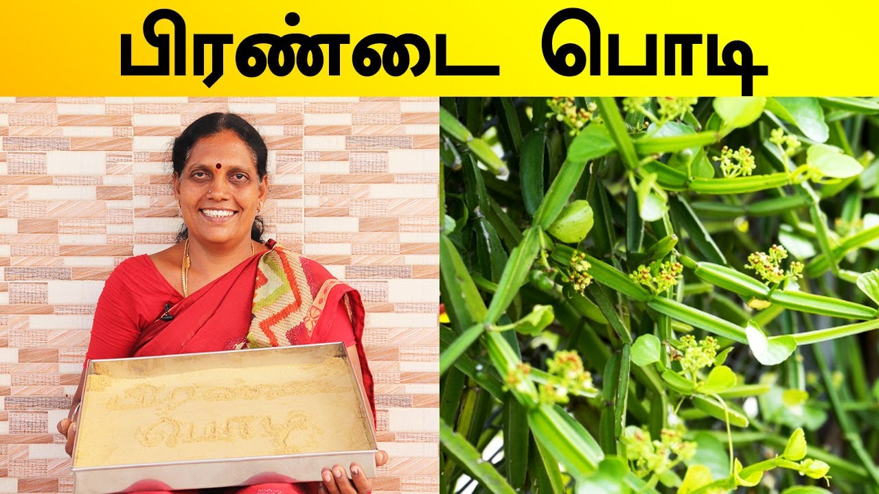 பிரண்டை பொடி ரகசிய செய்முறை | Pirandai Podi Secret Recipe | Foodie Tamizha Masalas