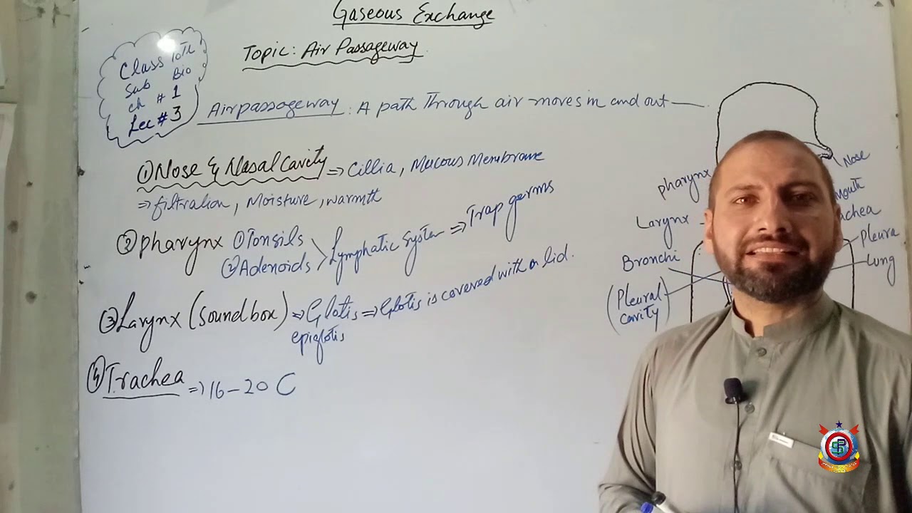 Class 10th Bio Lec 3  Topic; Air Passageway