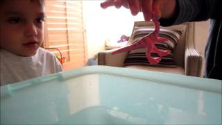 Disney Toy Surprise Water Fun - Sink Or Float W Pokemon, Dinotrux, Angry Birds, Paw Patrol