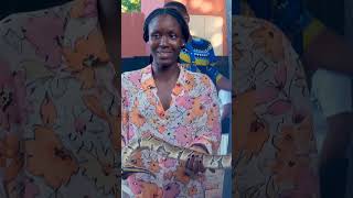 Visit 6 West African Countries In 14 Days  The  Ultimate West Coast Adventure