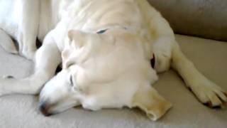 Zzzzzzzzzzzzzzzzzzzzzzzzzz