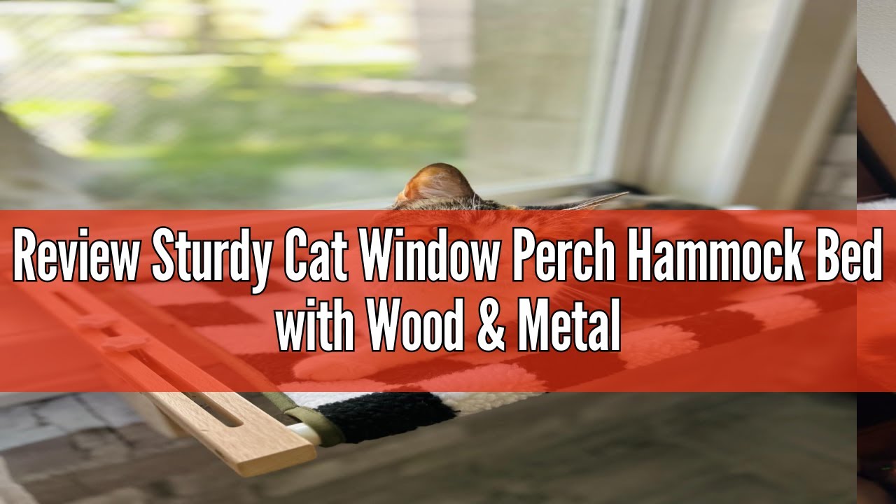 Review Sturdy Cat Window Perch Hammock Bed with Wood & Metal Frame for Cats Easy to Assemble for Win