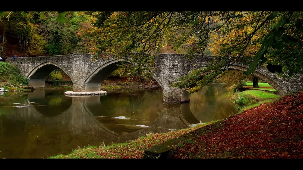 Jan Jiři Benda, Grave for viola and piano, Sergio Agreda De Ro Viola