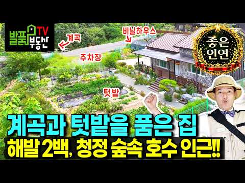 (급매) 텃밭 있는 계곡 바로 앞 집 전원주택 매매 후회 없을 선택 해발 2백미터 청정 숲속 가성비와 힐링 <strong>휴양</strong> 요양 넓은 주차공간 비닐하우스 있는 합천부동산 - 발품부동산TV