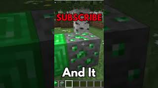 The LOST Minecraft Ore… (existed for 1 day) #shorts #minecraft