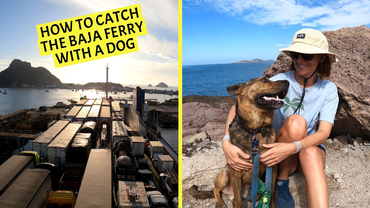 ⁣How to Catch the Baja Ferry with a Dog (Mazatlán to La Paz with TMC) Chuffed Adventures S6Ep9