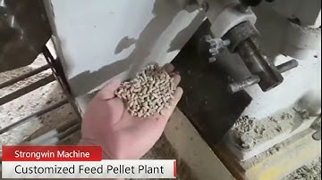 feed pellet plant, feed pellet line, feed production machine Email: toppelletmachine@gmail.com
