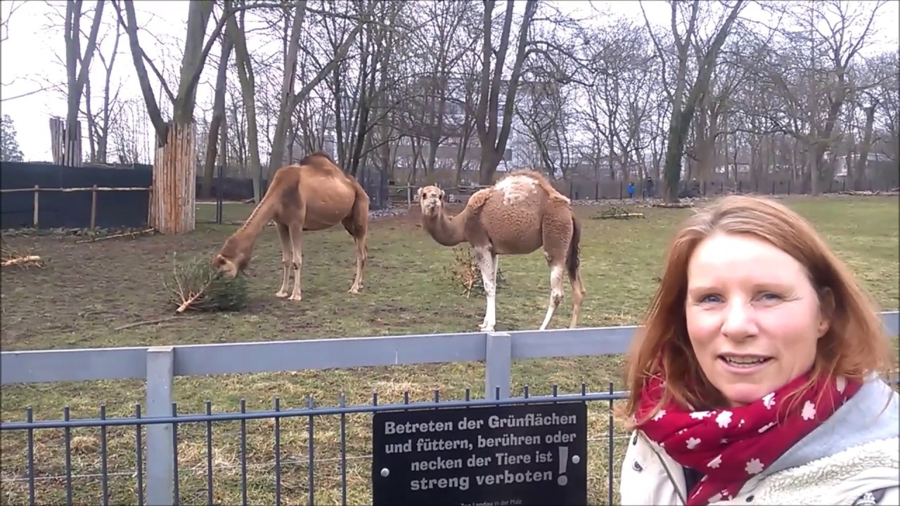 Logopädische Praxis Fohrn    Stellenangebot Landau, Pfalz