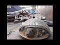 Film on turtle trade and rescue  save the turtles