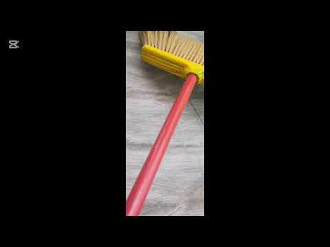 Please survive #insects #viralvideo